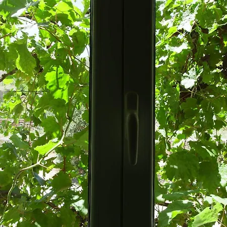 Gasthof Suga 1