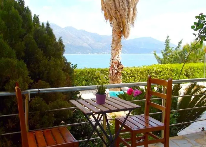 Suga 1